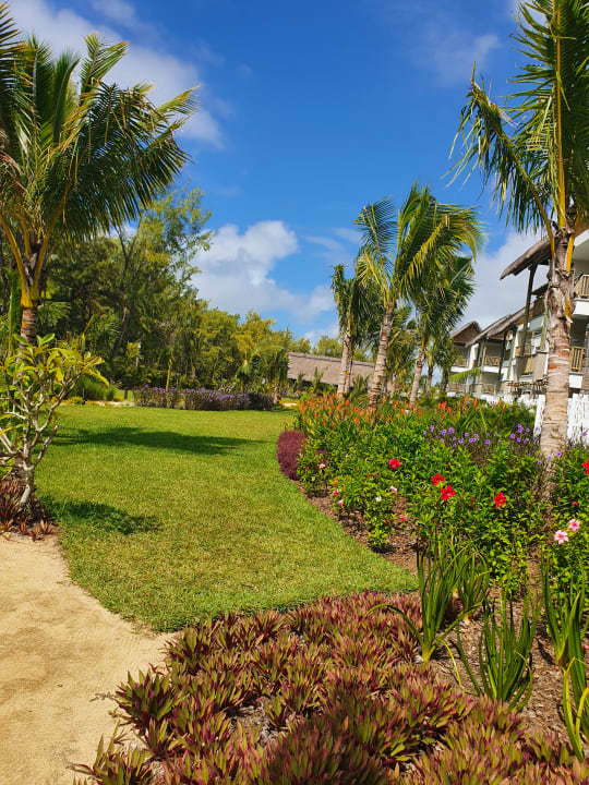 Gartenanlage Sunrise Attitude - Adults Only