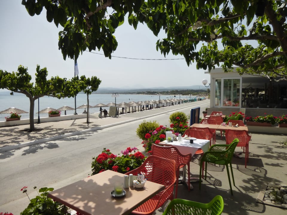 Gartenanlage Harmony Boutique Resort