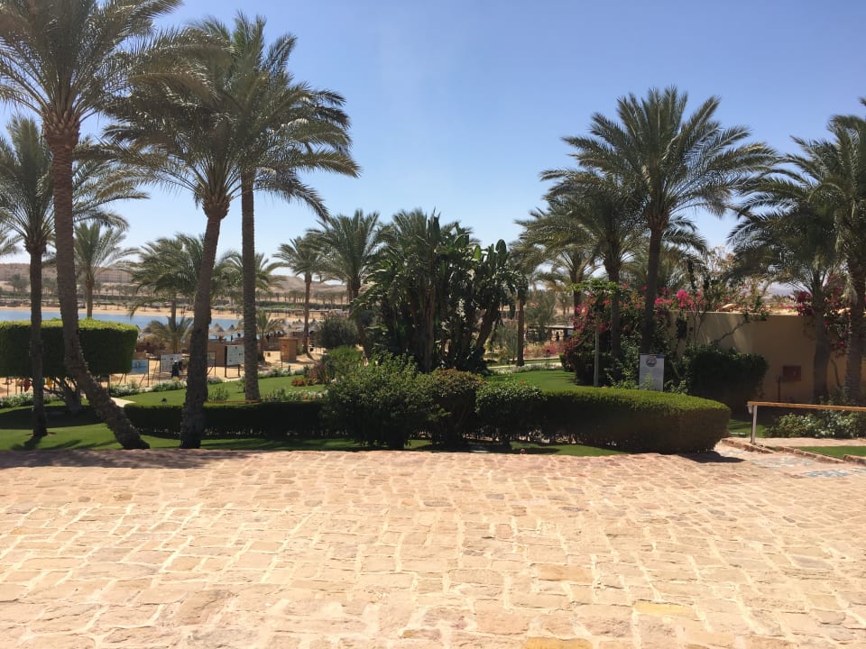 Garten Steigenberger Coraya Beach - Adults only