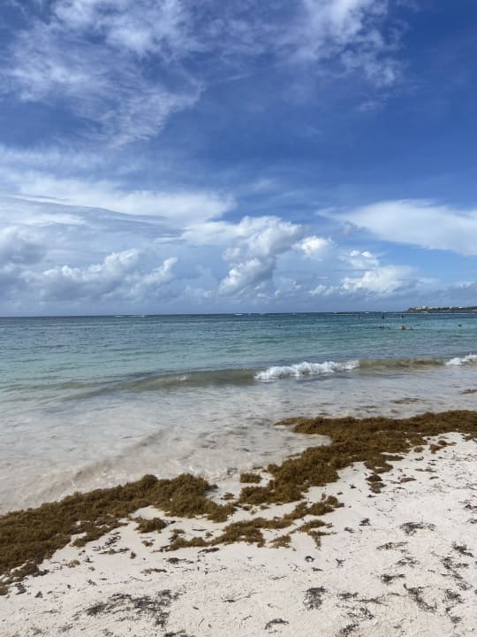 Strand Akumal Bay Beach & Wellness Resort