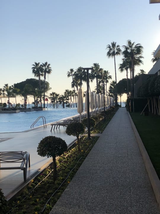 Pool Acanthus Cennet Barut Collection