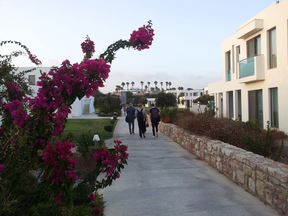 Sonstiges Atlantica Plimmiri