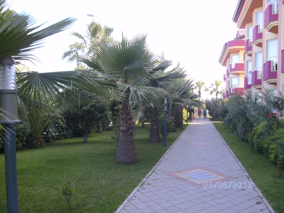 Garten Hotel Orfeus Park