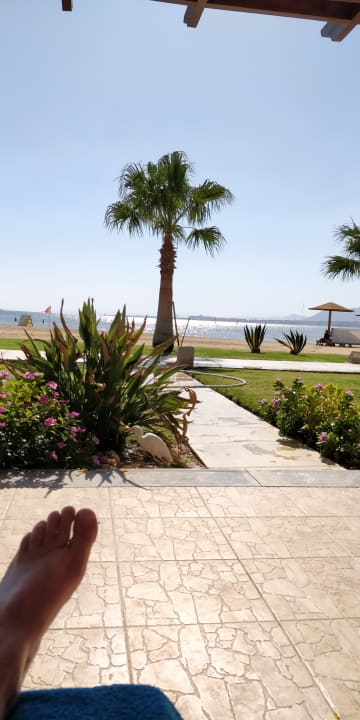 Gartenanlage Shams Prestige Abu Soma-Adults Only