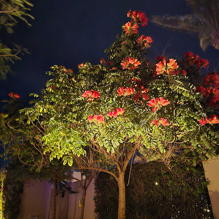 Gartenanlage Steigenberger Aqua Magic