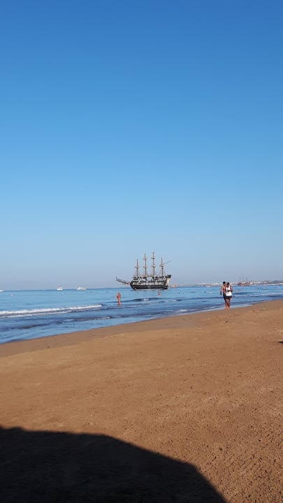 Strand Acanthus Cennet Barut Collection