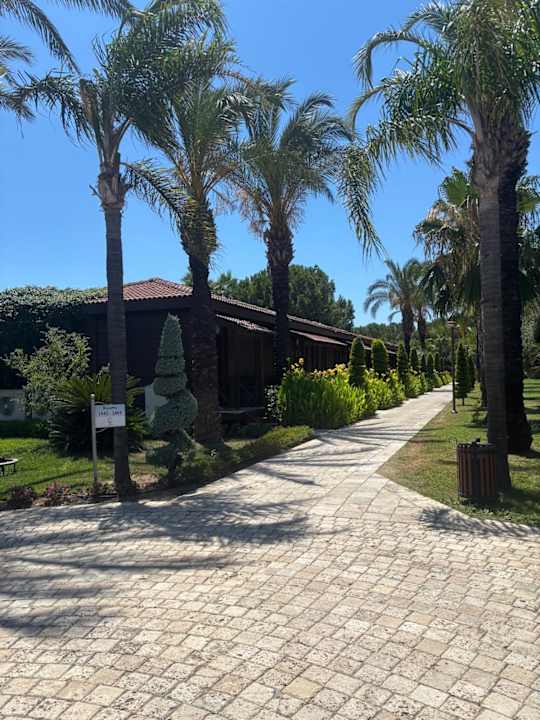 Zimmer Calimera Serra Palace