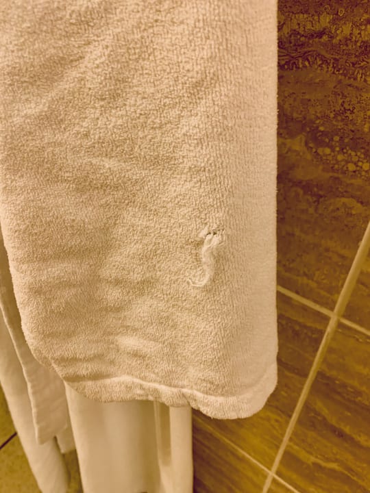 Zimmer Hyatt Regency Köln