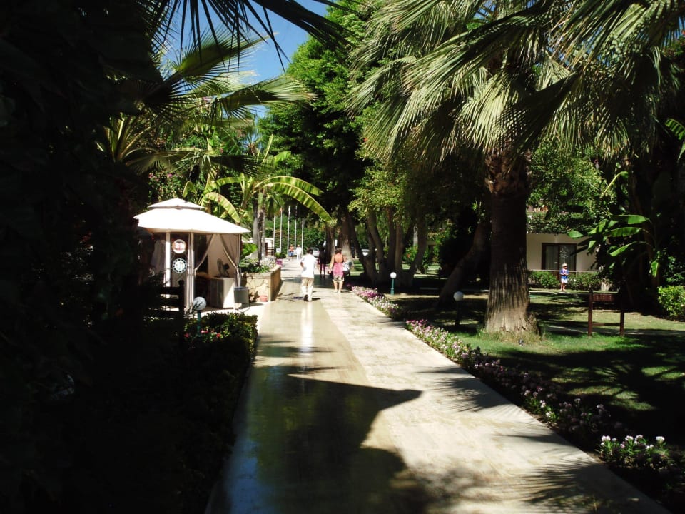 Saubere Wege Club Boran Mare Beach