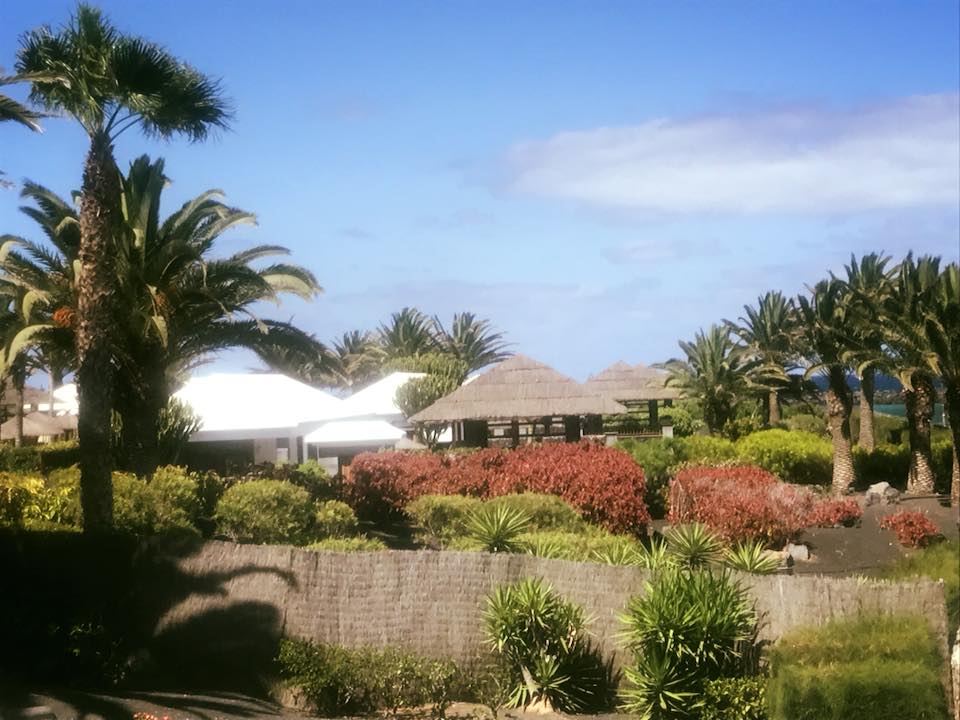 Gartenanlage Paradisus by Meliá Salinas Lanzarote