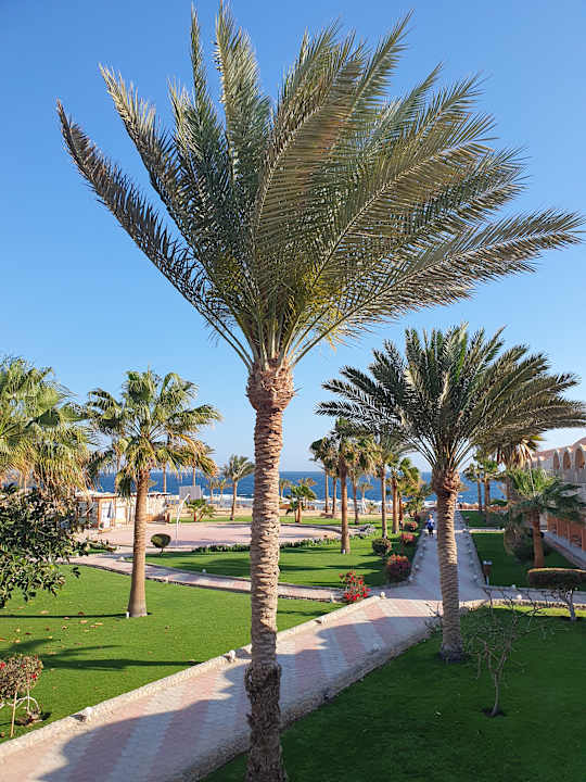 Ausblick Three Corners Sea Beach Resort