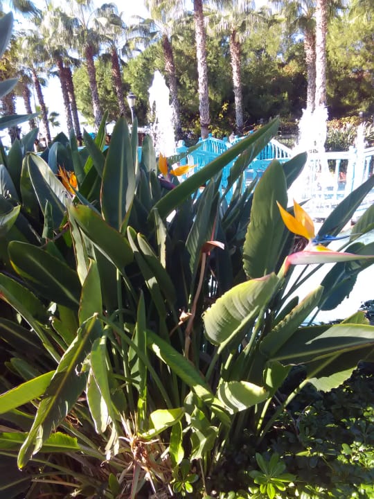 Sonstiges Gardenia Hotel