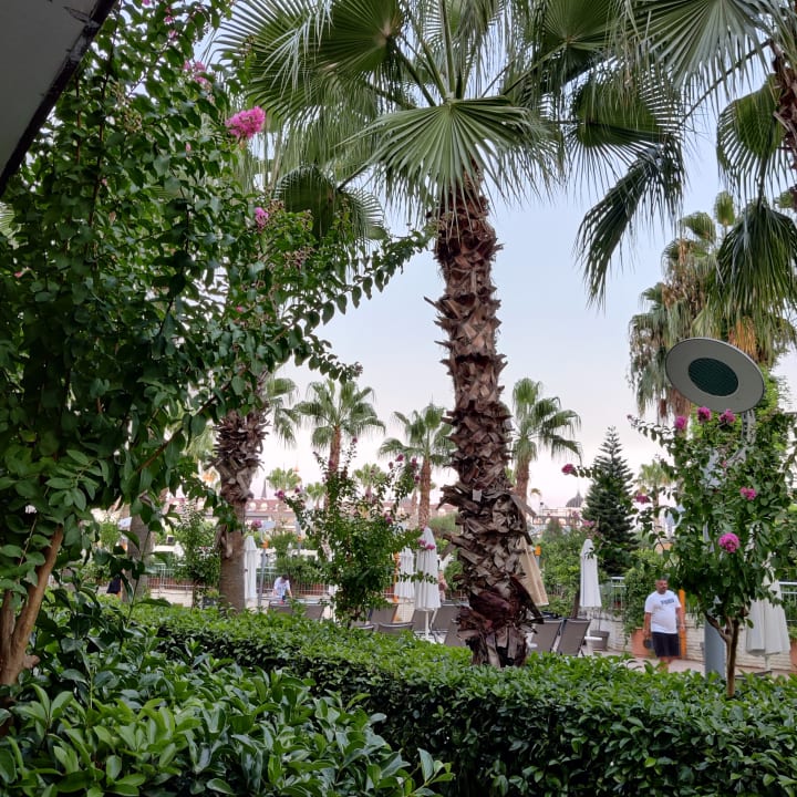 Gartenanlage Hane Family Resort