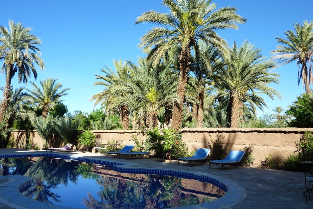 Pool inmitten von Palmen Hotel Kasbah Azul