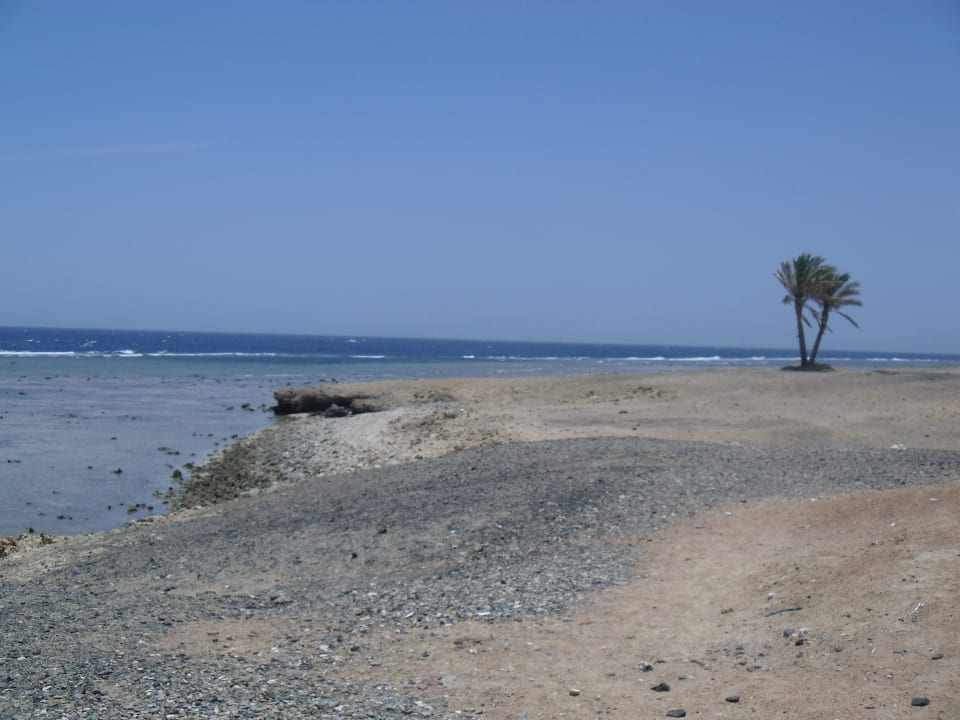 Plaza Malikia Resort Abu Dabbab