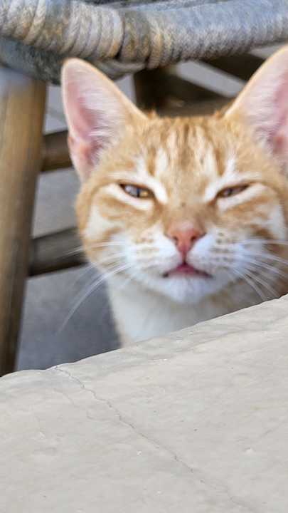 Sonstiges Momi Slow Living Hotel