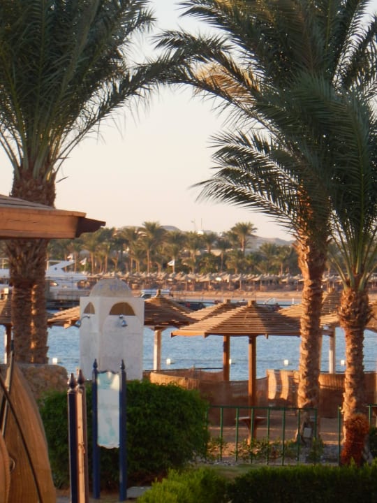 Aus unserem Zimmer SUNRISE Royal Makadi Resort