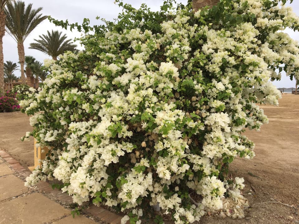 Strand Casa Mare Resort