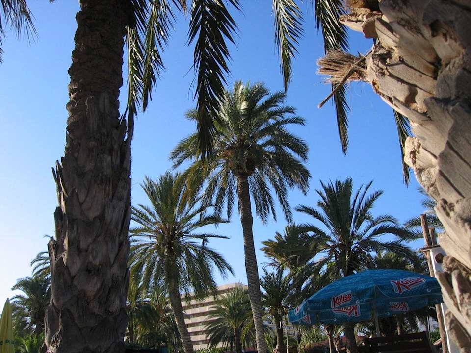 Einfach traumhaft! HL Miraflor Suites Hotel