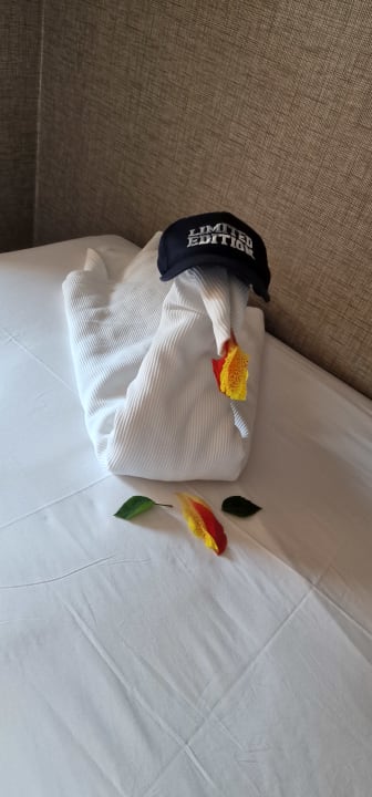 Zimmer Club Grand Aqua