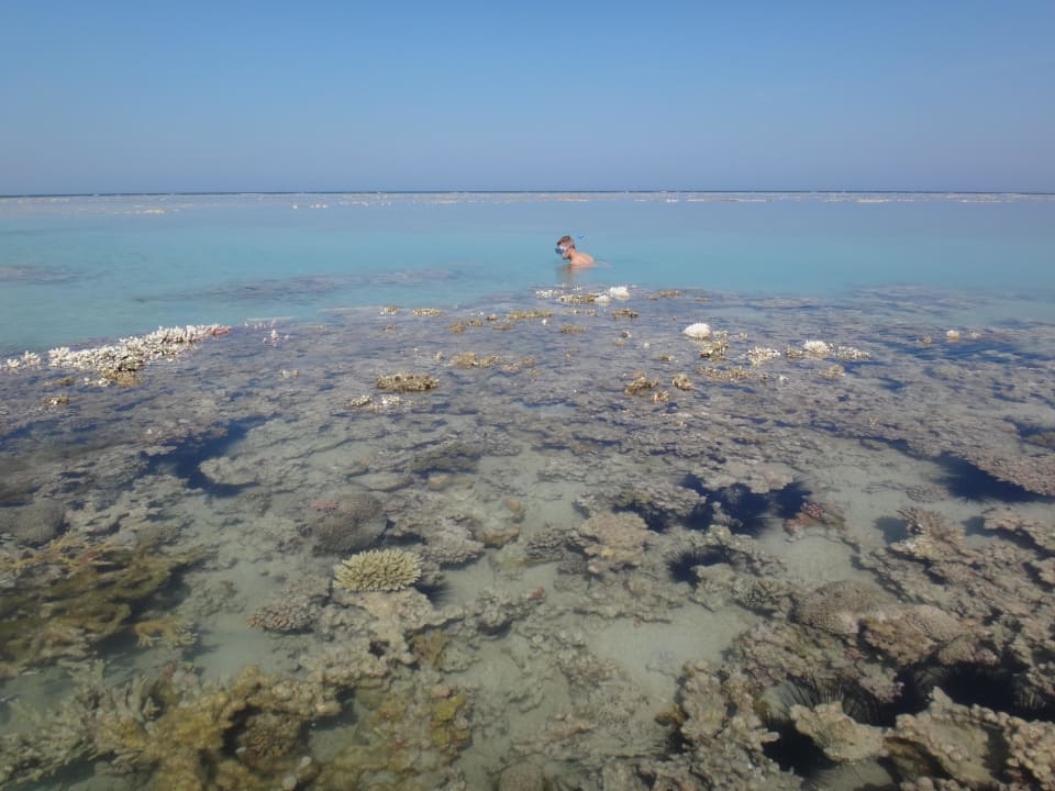 Hausriff Stella Beach Resort & Spa Makadi Bay