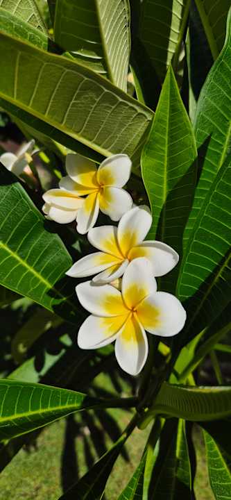 Außenansicht High Beach Resort