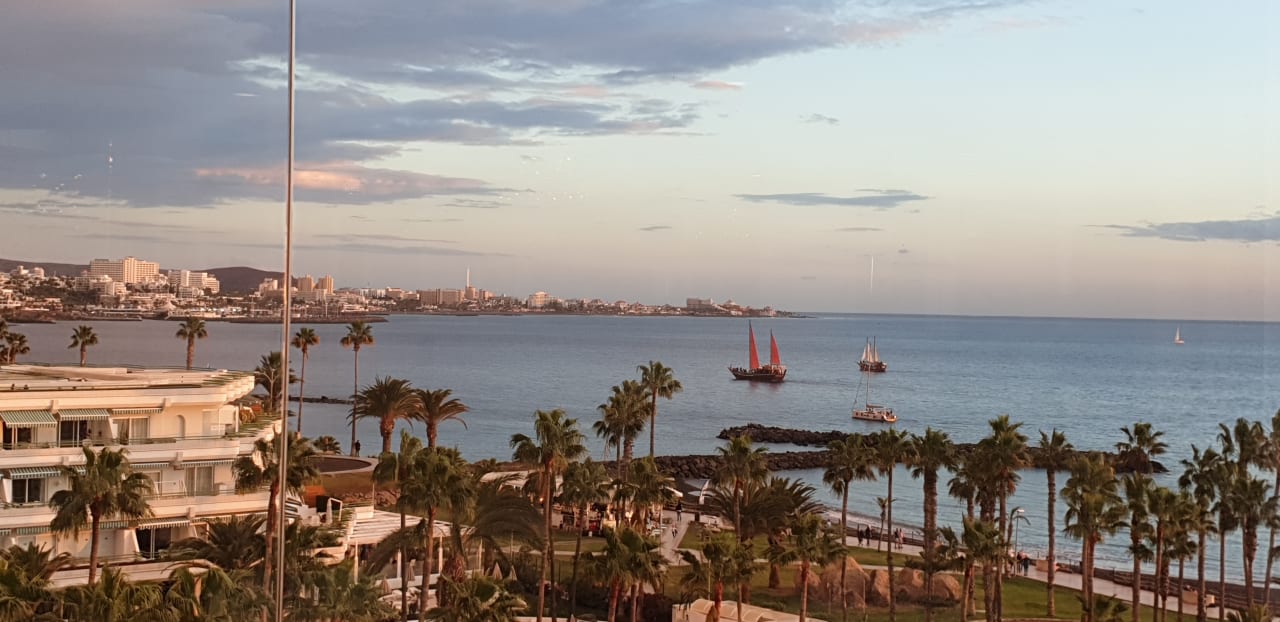 Ausblick Hotel Riu Palace Tenerife