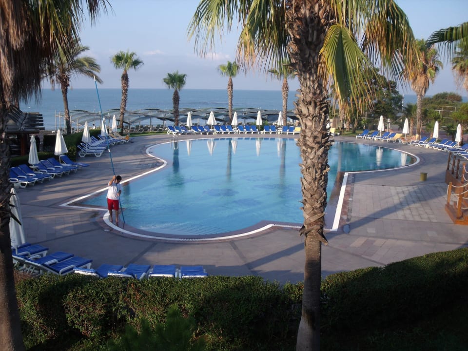 Geniessen Papillon Belvil