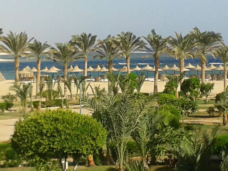Blick aus dem Bungalow Zimmer   Pensée Royal Garden Beach Resort
