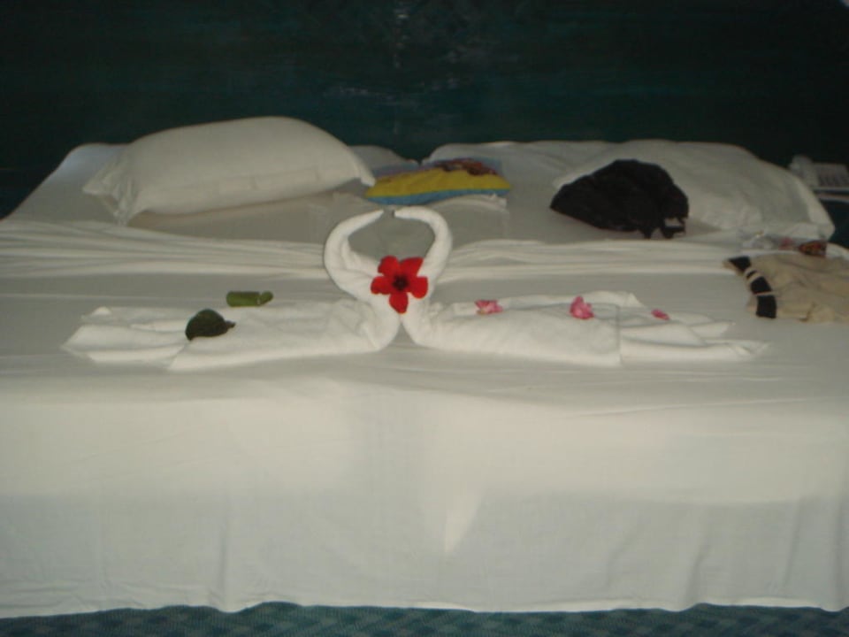 Super schön gemacht Mahdia Beach & Aquapark