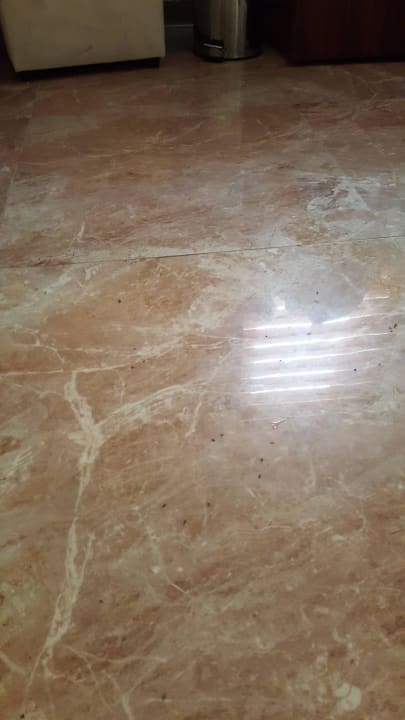 Ameisen im Zimmer! auch im nicht aupackten Koffern Maya World Park Hotel