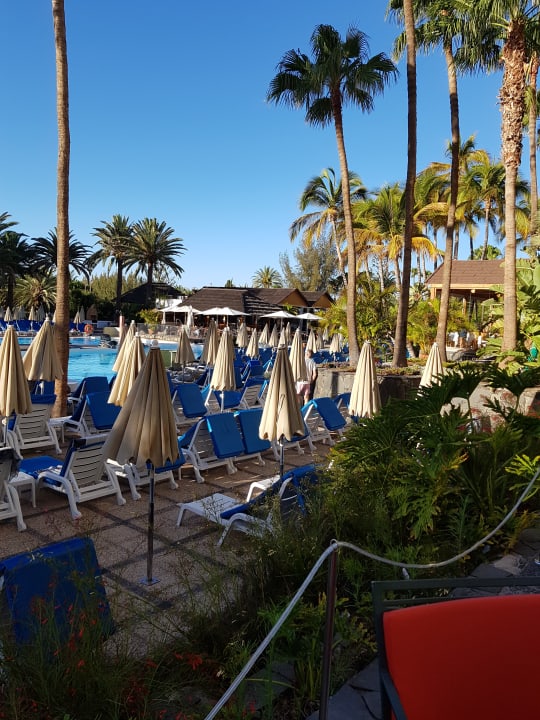 Pool Bull Costa Canaria & Spa - Adults only