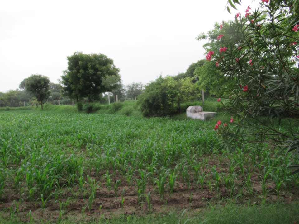 Gartenanlage Tordi Garh