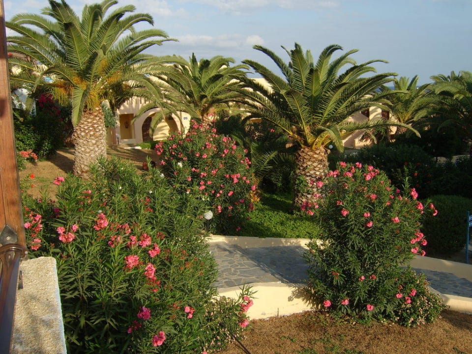 Ausblick vom Familienzimmer Porto Bello Beach