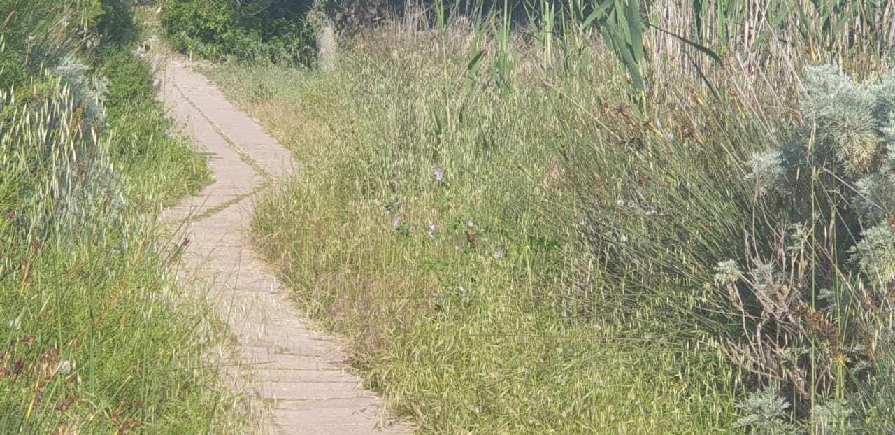 Sonstiges Janna e Sole Resort