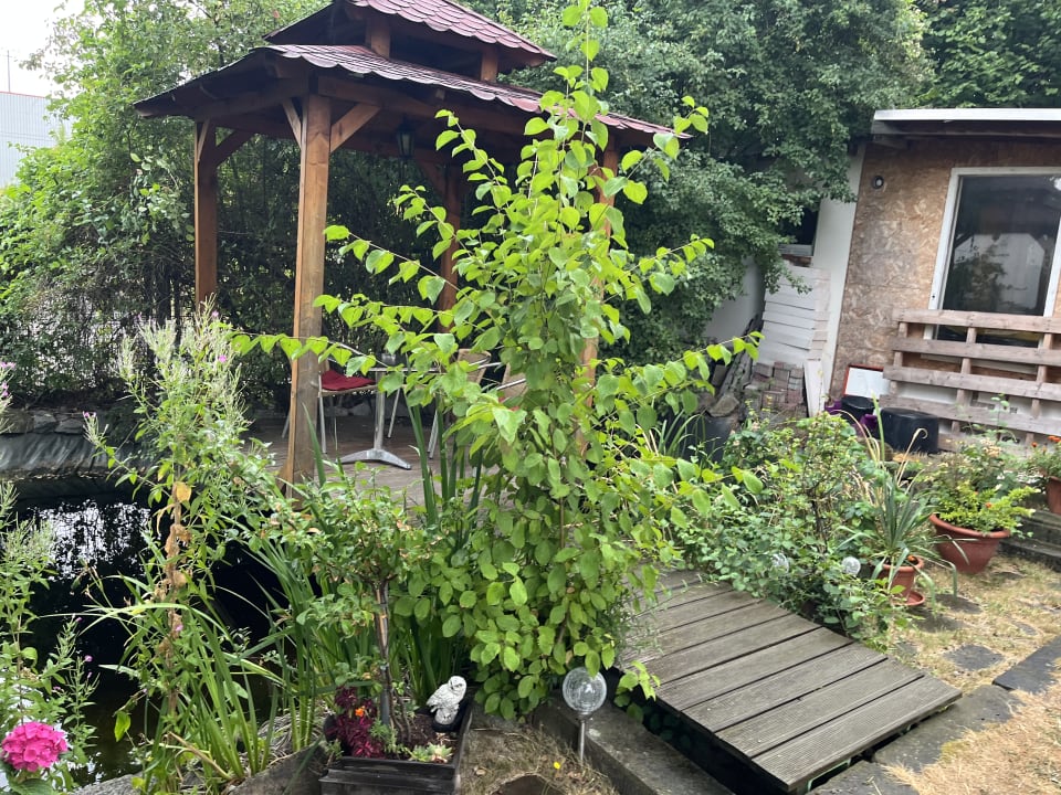 Gartenanlage Ferien in Dresden