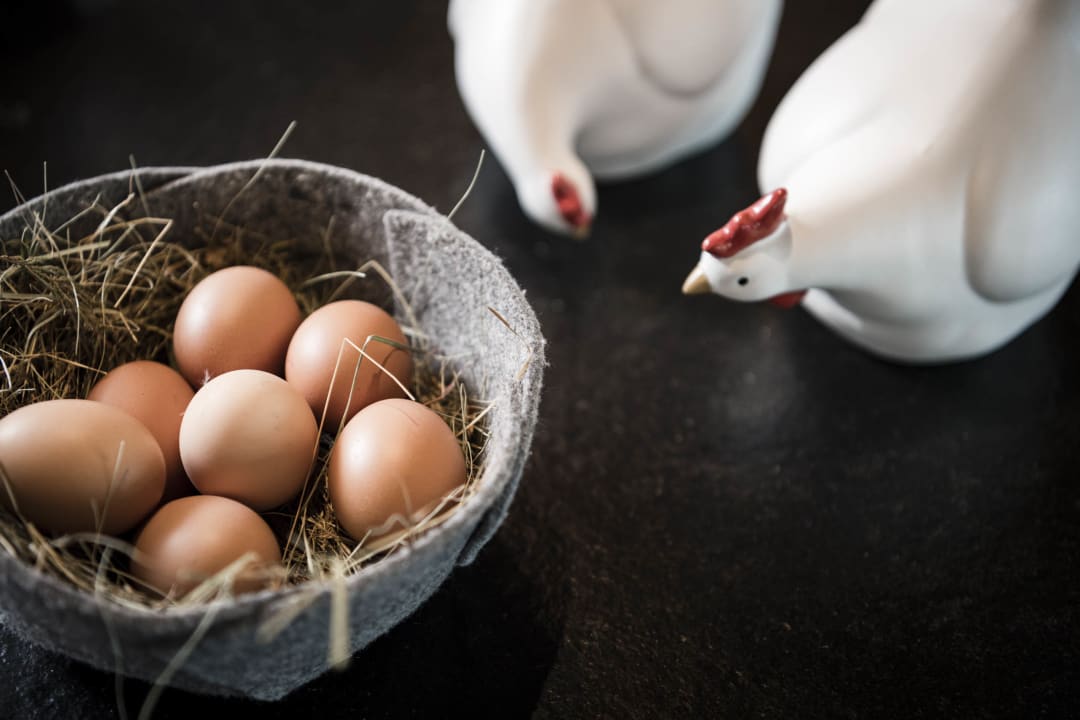 Gastro Hotel Zirmerhof