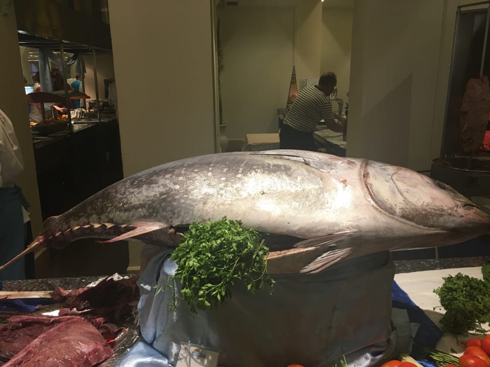 Gastro Calimera Yati Beach