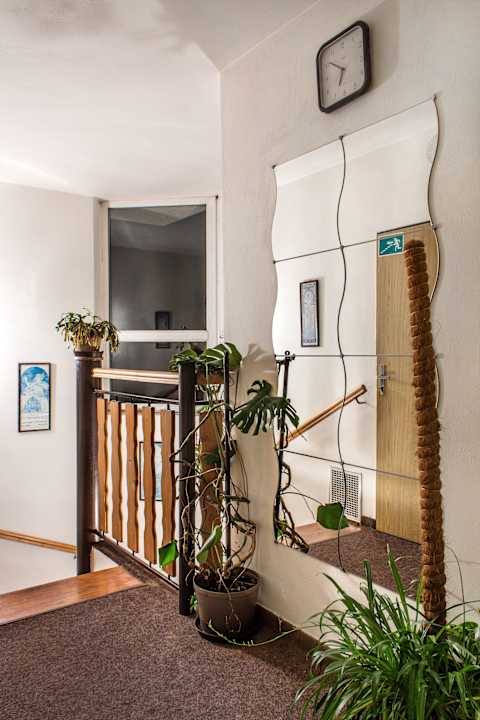 Vnitřní prostory Hotel Pangea