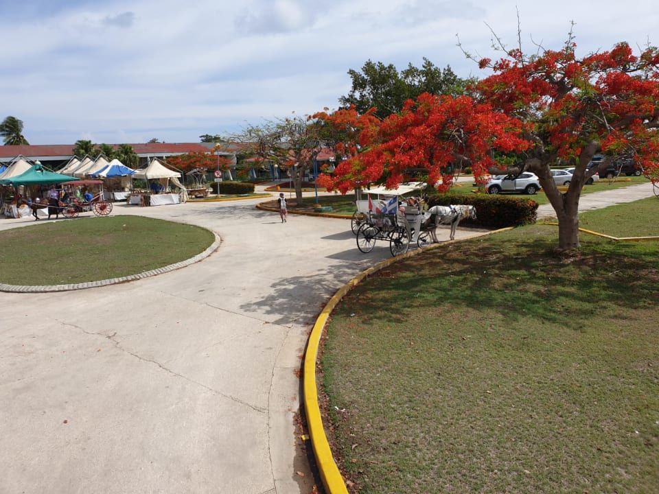 Gartenanlage Brisas Guardalavaca Hotel & Villas