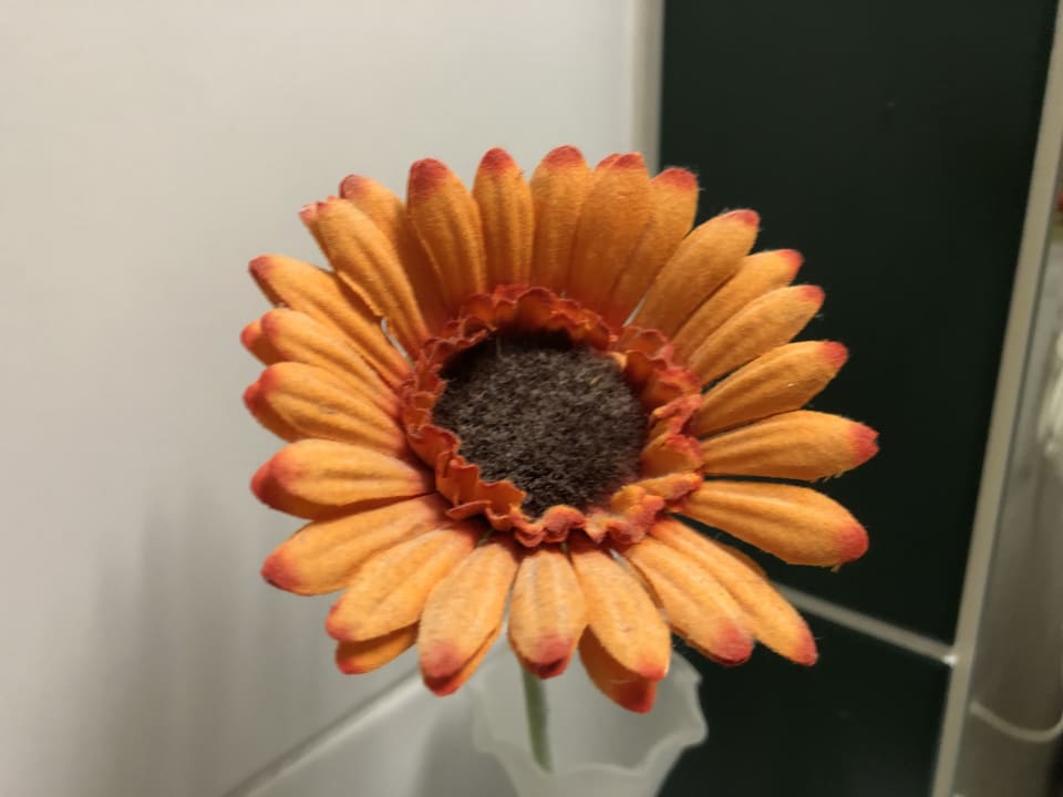 Zimmer Landgasthof Hotel Maximilian