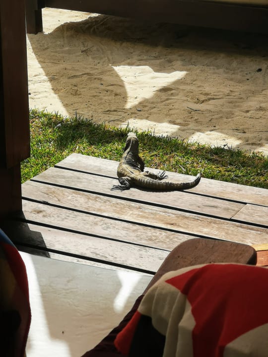 Ausblick Akumal Bay Beach & Wellness Resort