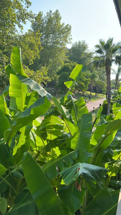 Ausblick Sunis Elita Beach Resort & Spa