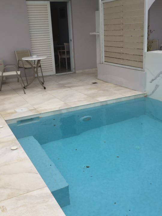 Pool Delfina Tropic Beach