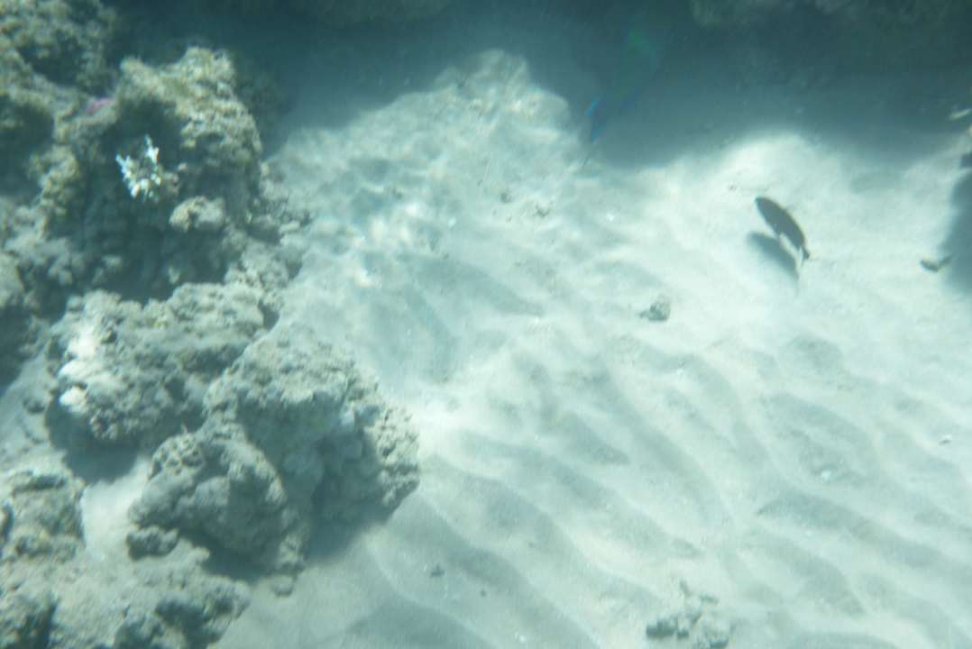 Strand Stella Garden Resort & Spa, Makadi Bay