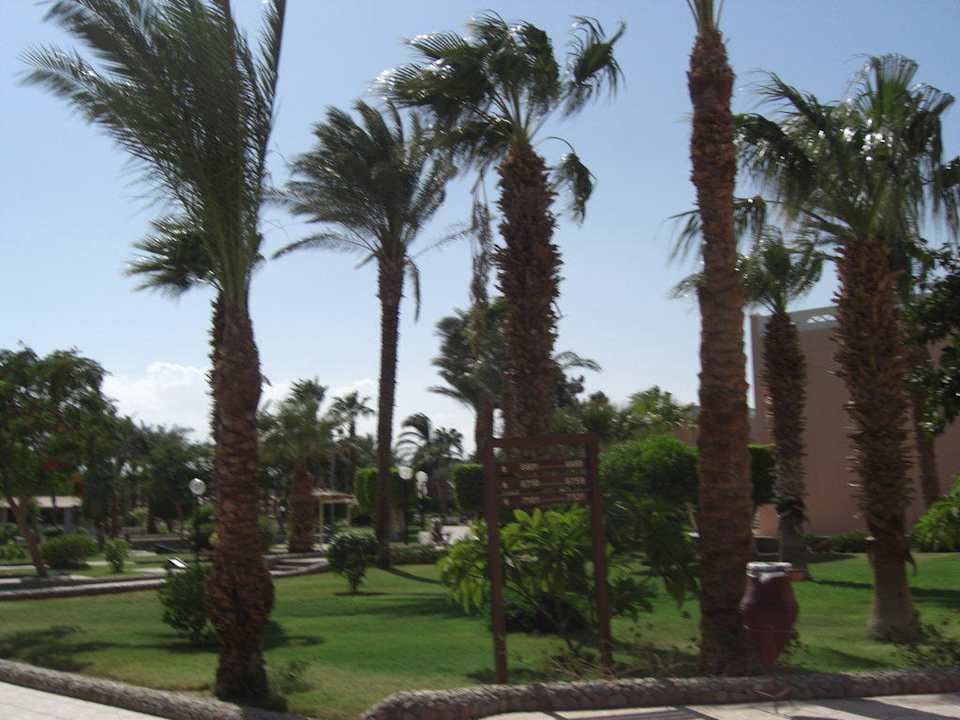 Garten Beach Albatros Resort