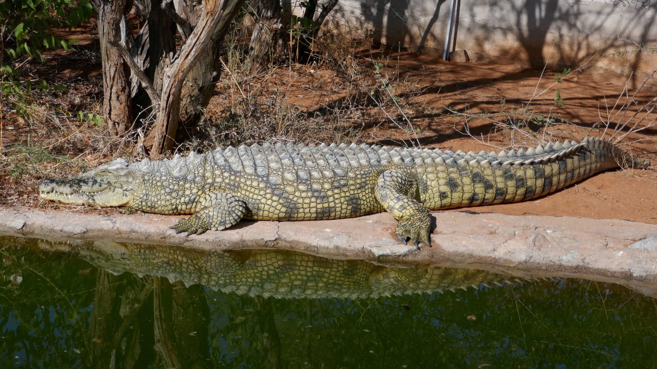 Sonstiges Kaoko Bush Lodge