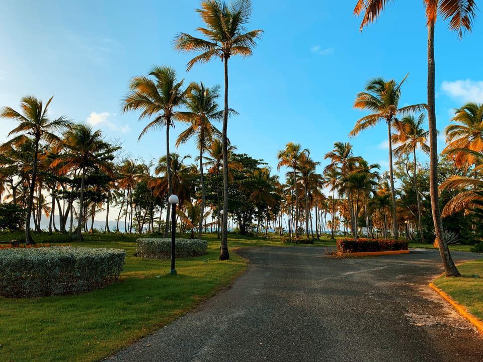 Gartenanlage Wyndham Alltra Samana