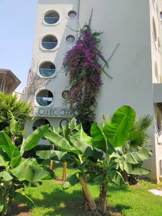 Gartenanlage MC Beach Park Resort Hotel