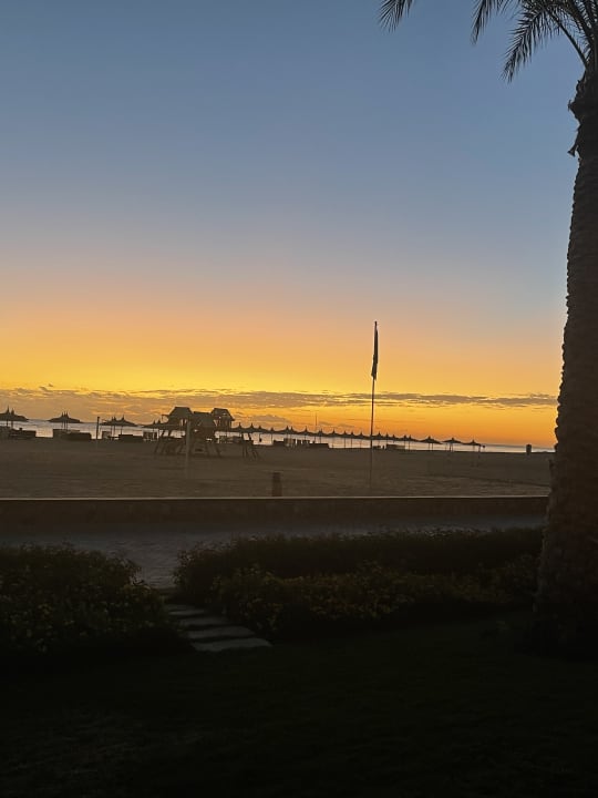 Zimmer Novotel Marsa Alam Beach Resort